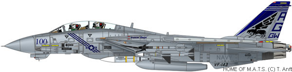 Aircraft Profile Print Of F-14B Tomcat VF-143 Pukin' Dogs, 57% OFF